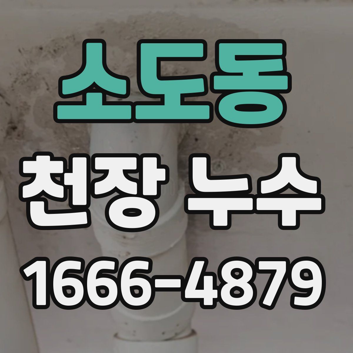 소도동 천장 누수
