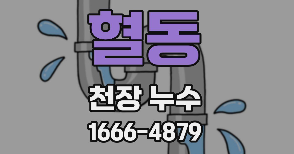 혈동 천장 누수