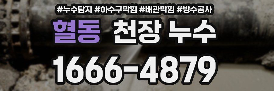혈동 천장 누수