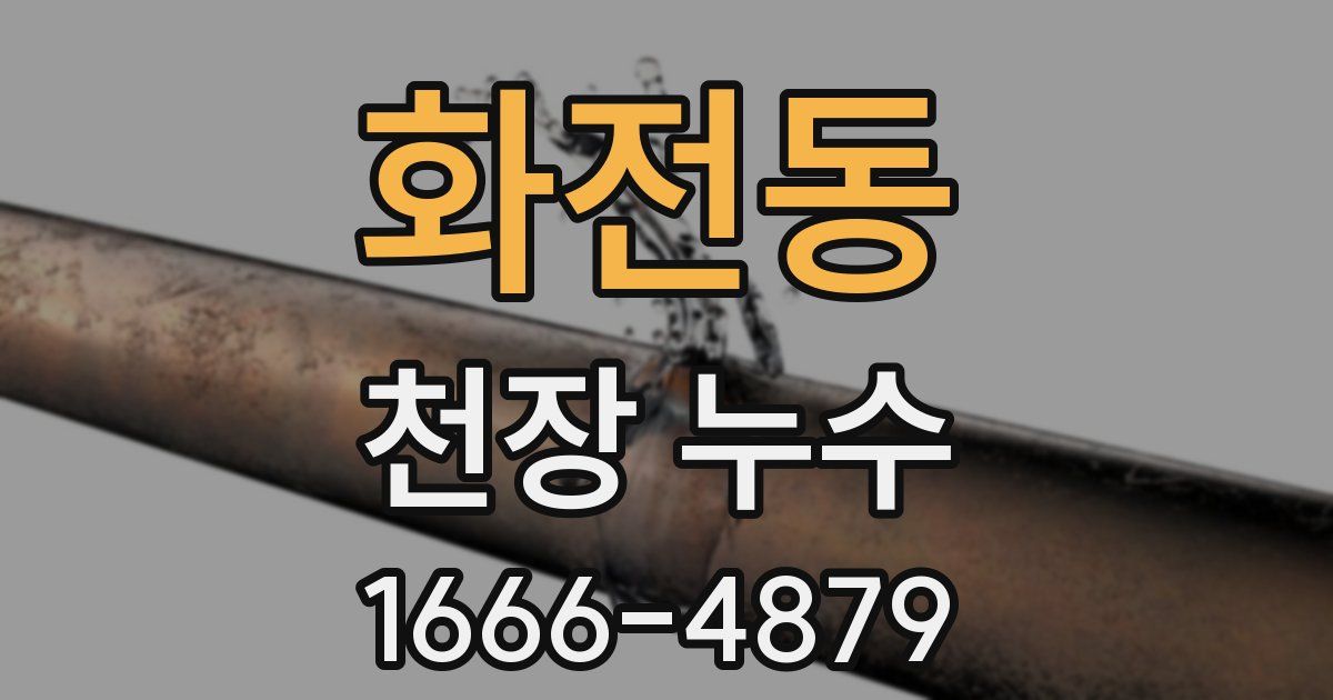 화전동 천장 누수