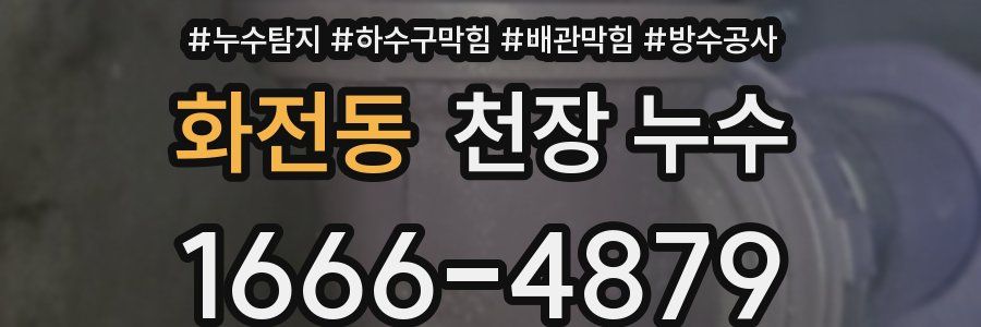 화전동 천장 누수