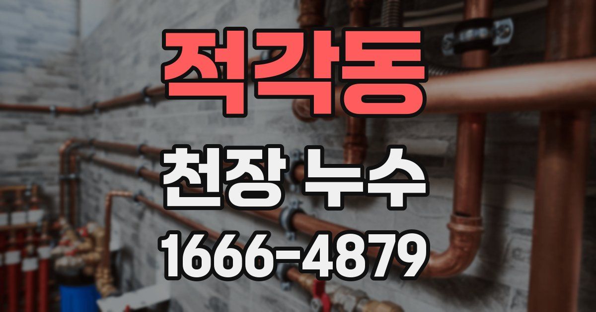 적각동 천장 누수