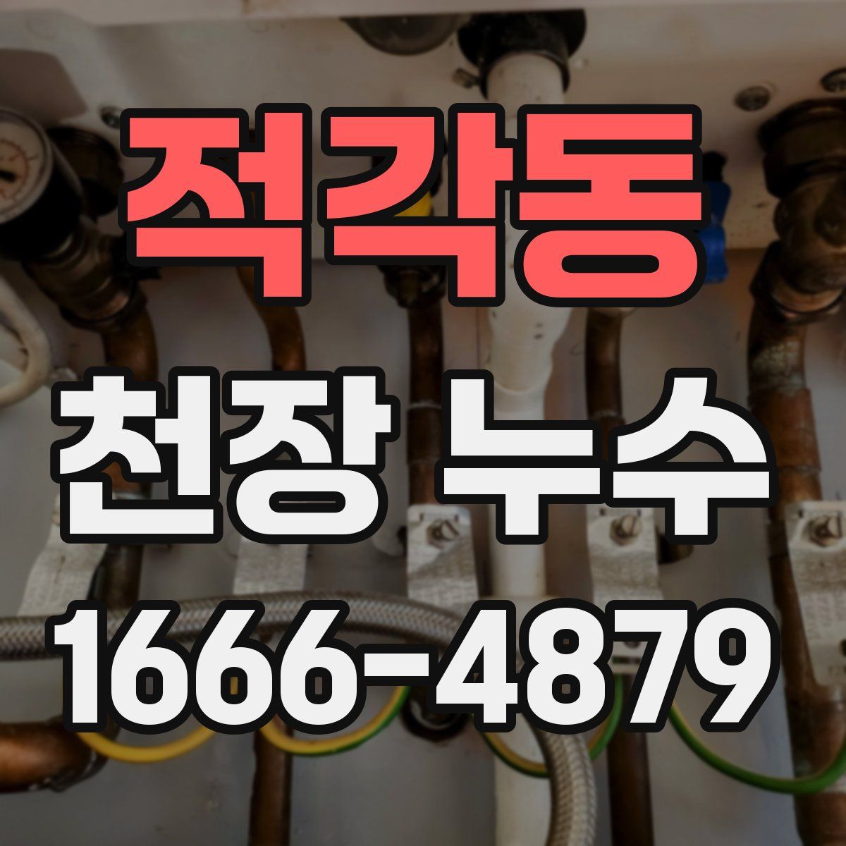 적각동 천장 누수