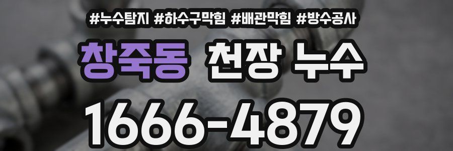 창죽동 천장 누수