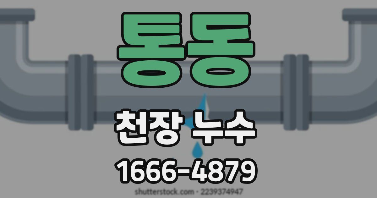 통동 천장 누수