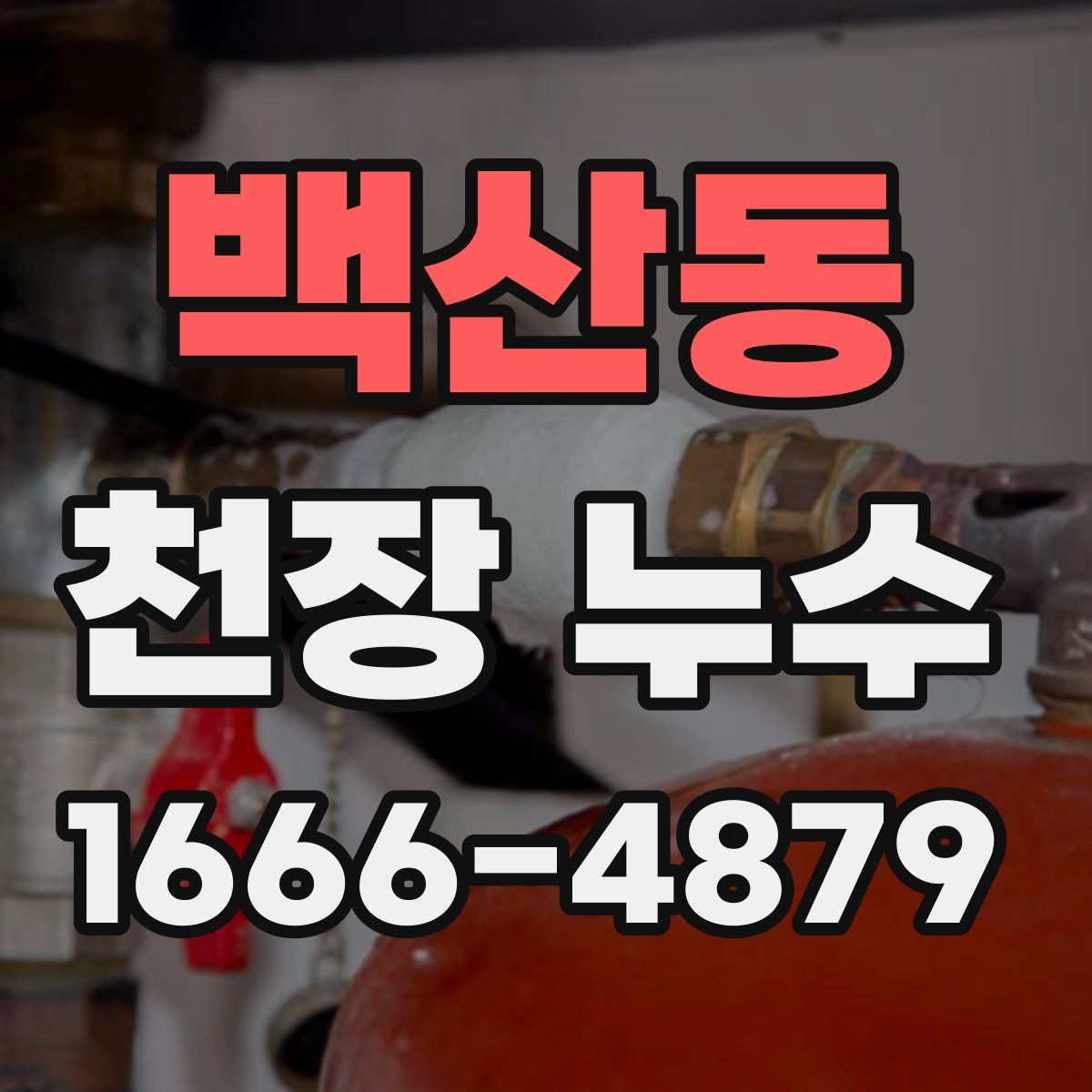 백산동 천장 누수