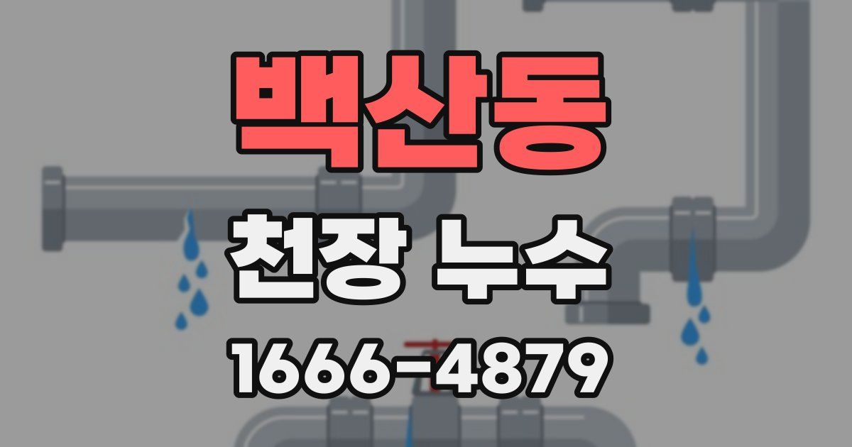 백산동 천장 누수