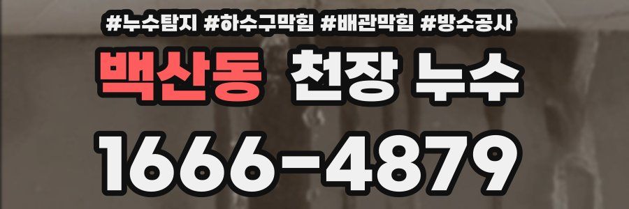백산동 천장 누수