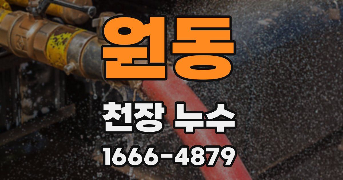 원동 천장 누수