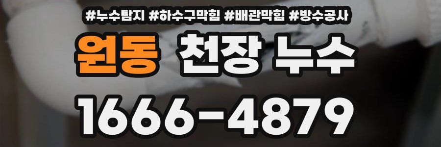 원동 천장 누수