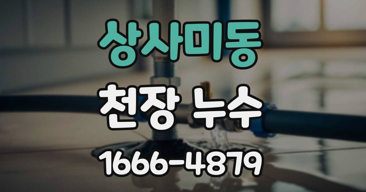 상사미동 천장 누수