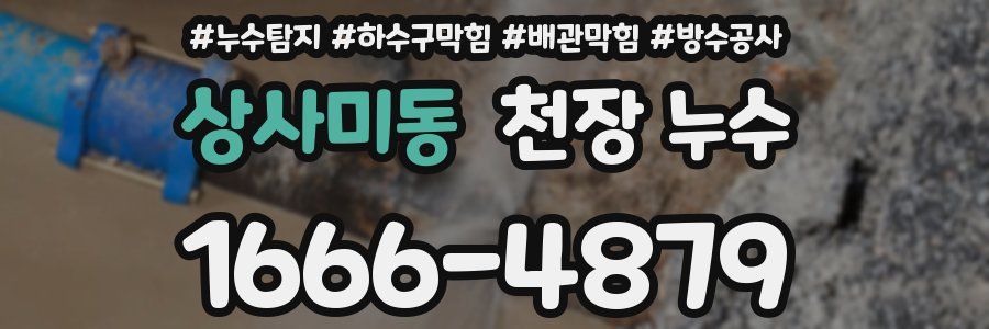 상사미동 천장 누수