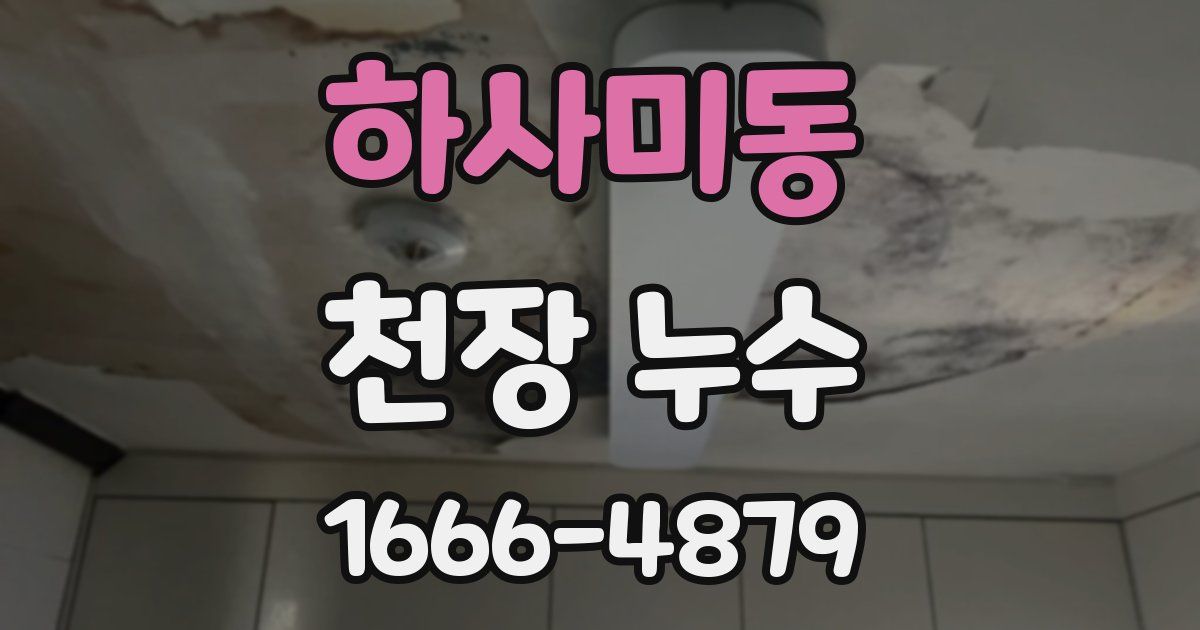 하사미동 천장 누수