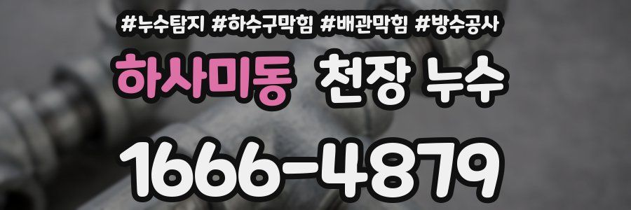 하사미동 천장 누수