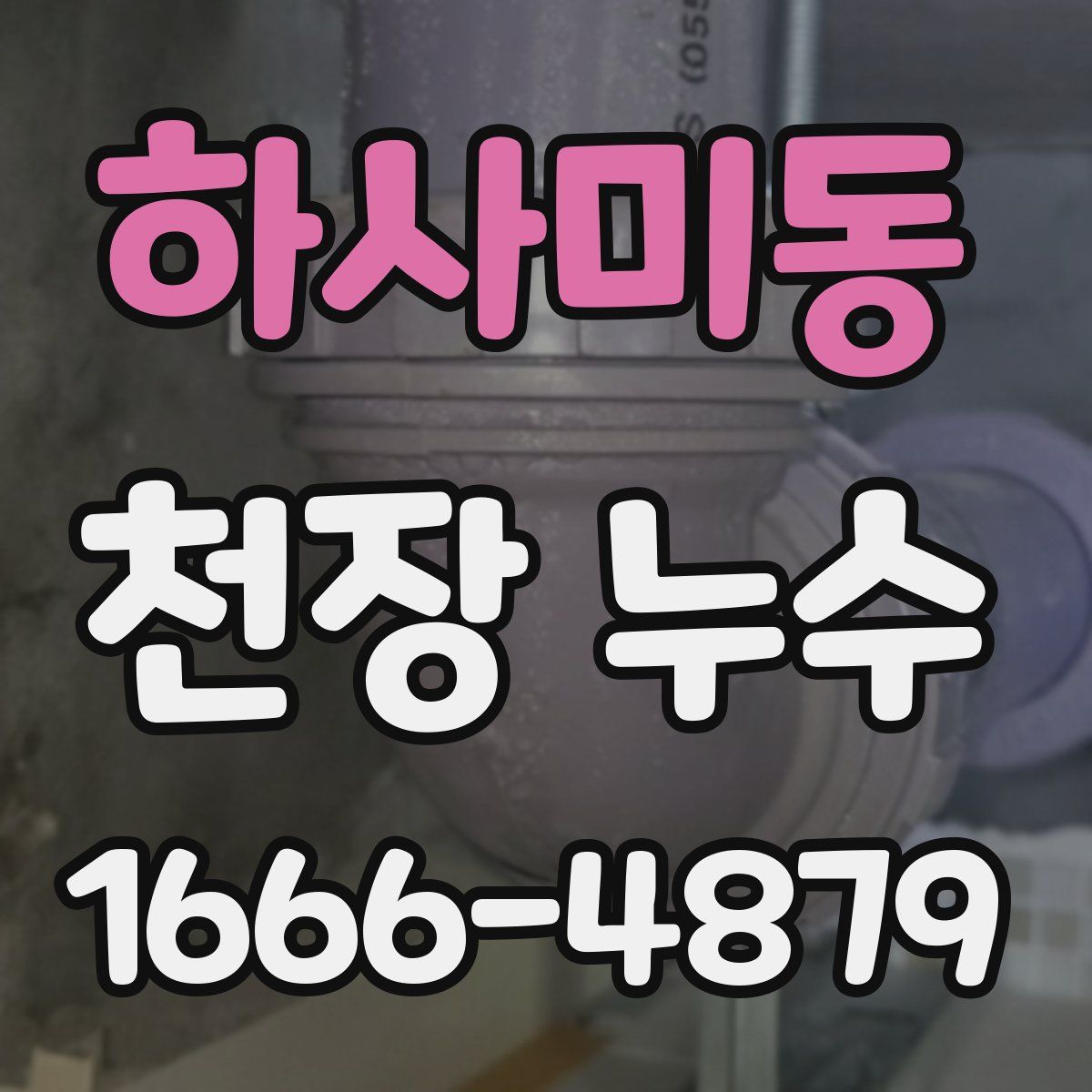 하사미동 천장 누수