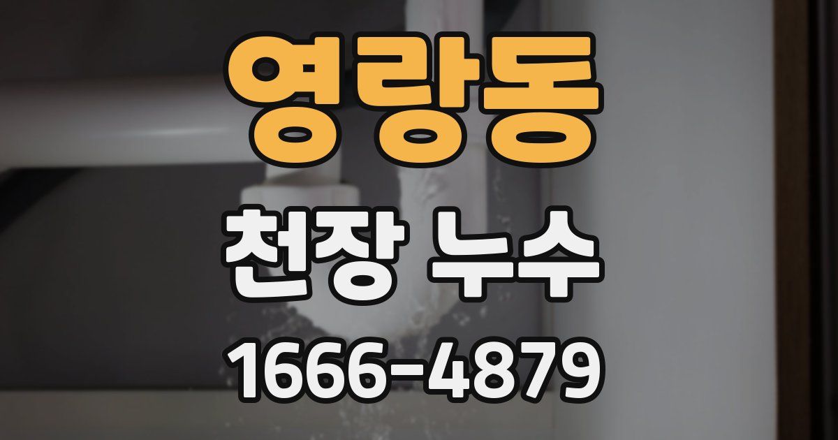 영랑동 천장 누수