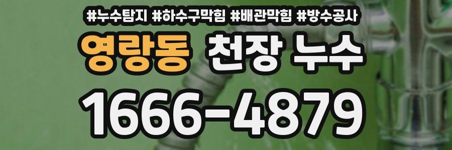 영랑동 천장 누수