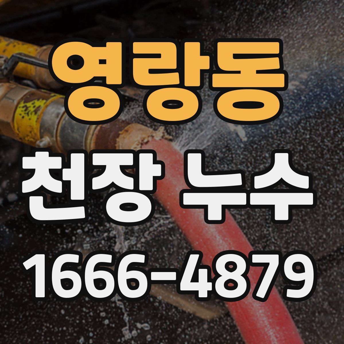 영랑동 천장 누수