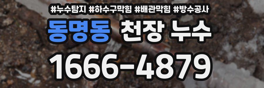 동명동 천장 누수