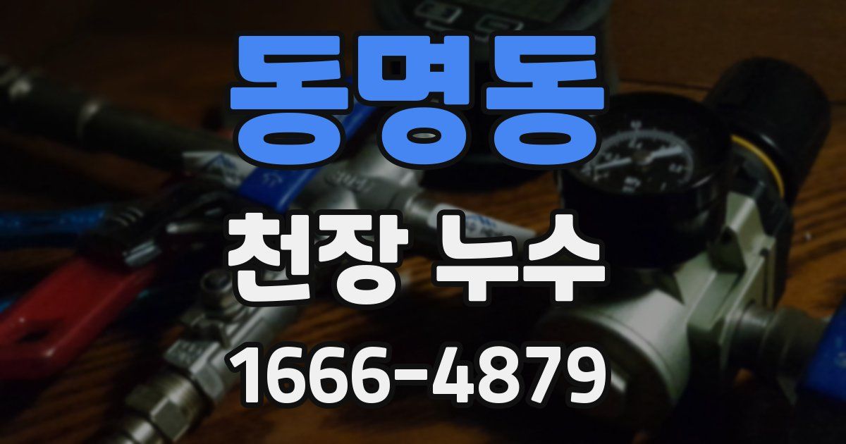 동명동 천장 누수