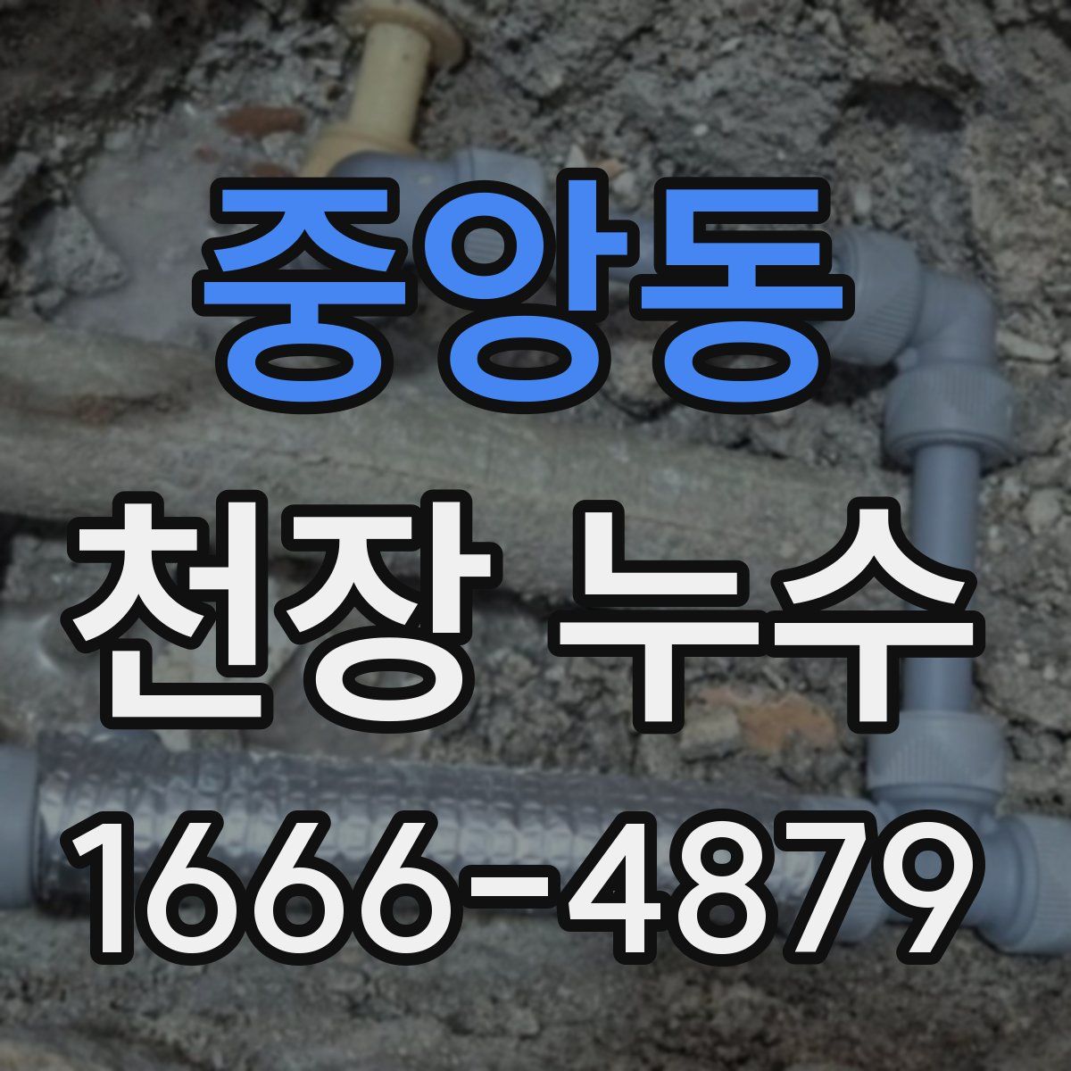 중앙동 천장 누수