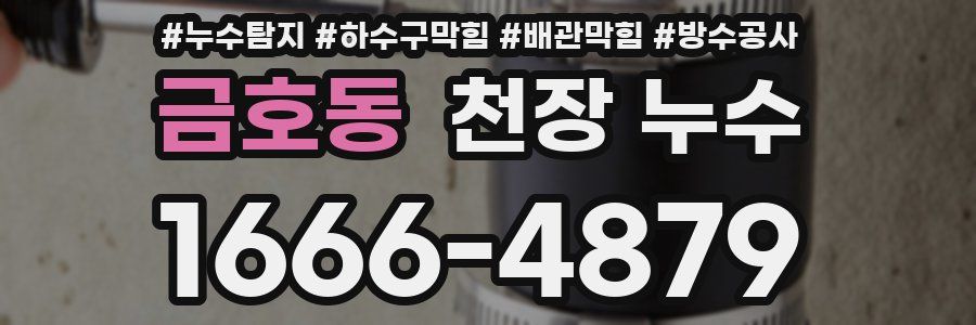 금호동 천장 누수