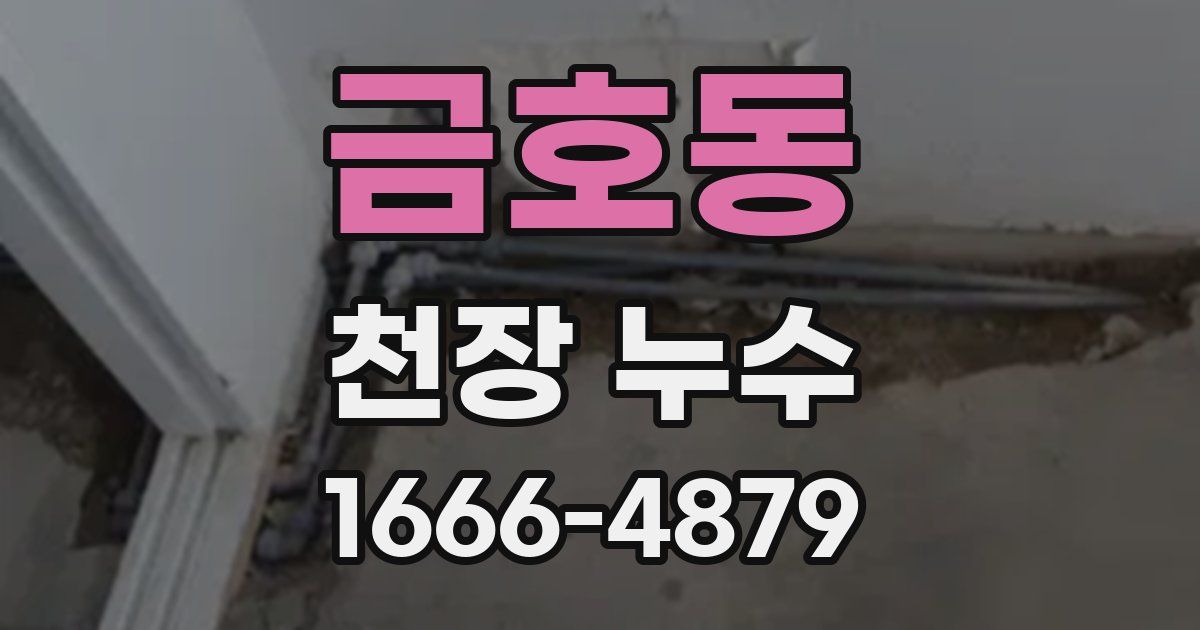 금호동 천장 누수