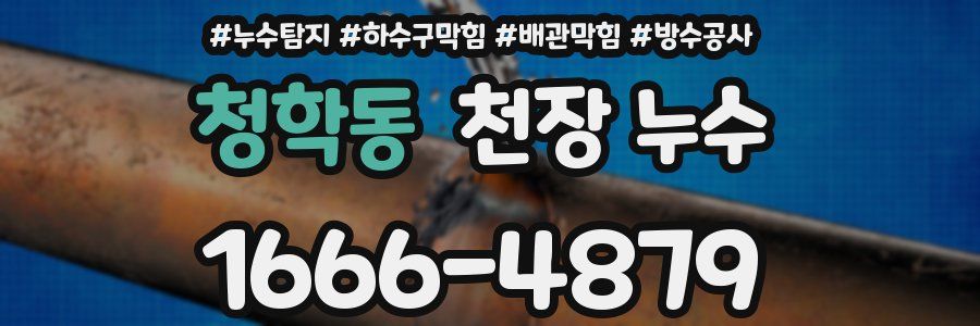청학동 천장 누수