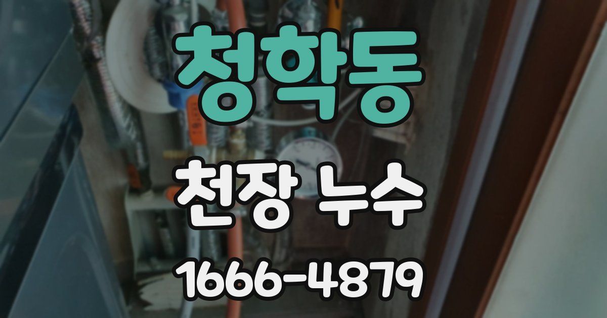 청학동 천장 누수