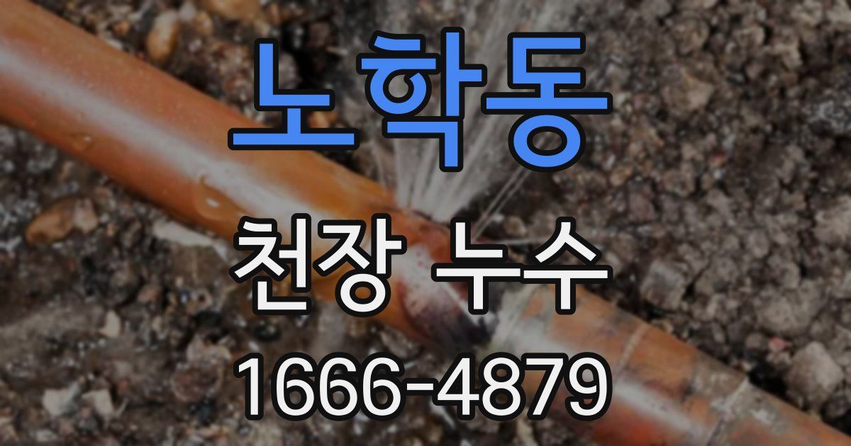 노학동 천장 누수
