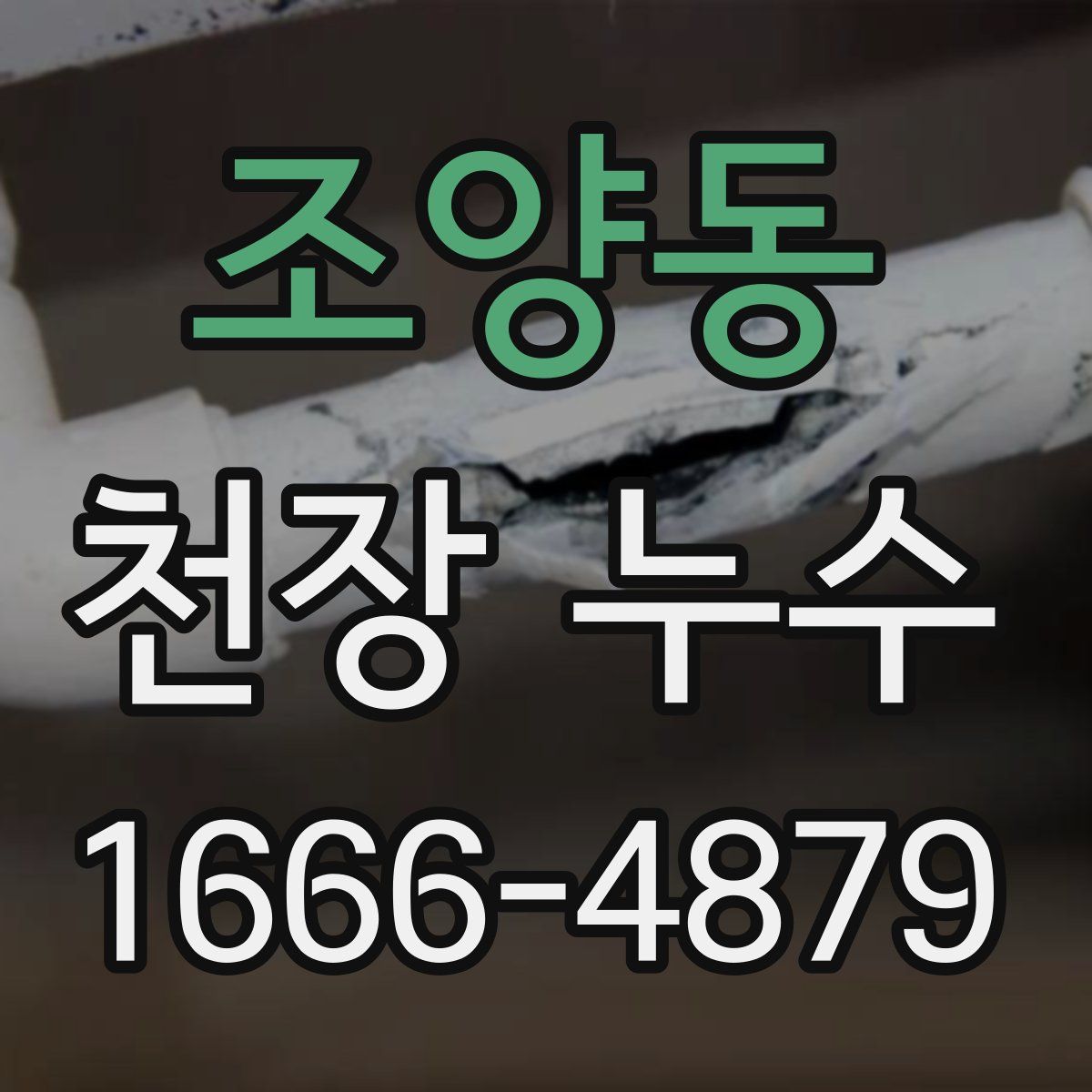 조양동 천장 누수