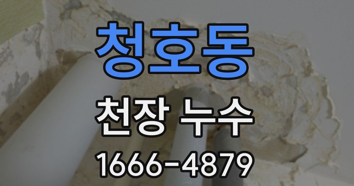 청호동 천장 누수