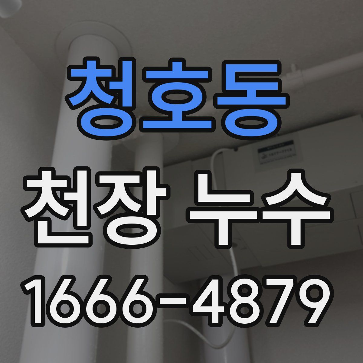 청호동 천장 누수