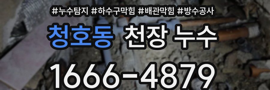 청호동 천장 누수