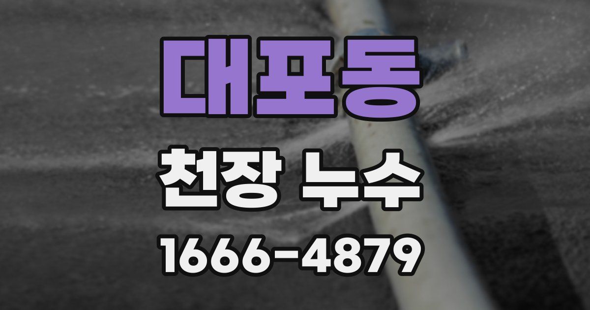 대포동 천장 누수