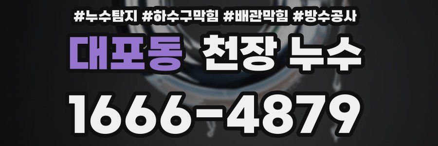 대포동 천장 누수