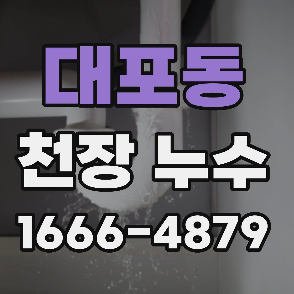 대포동 천장 누수