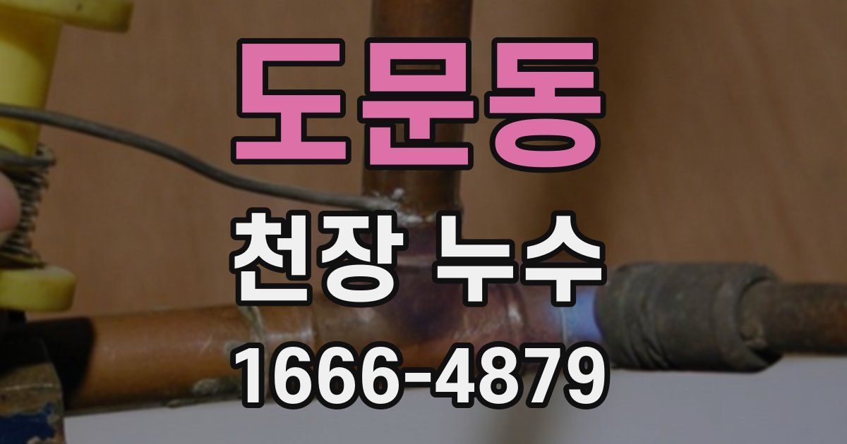 도문동 천장 누수