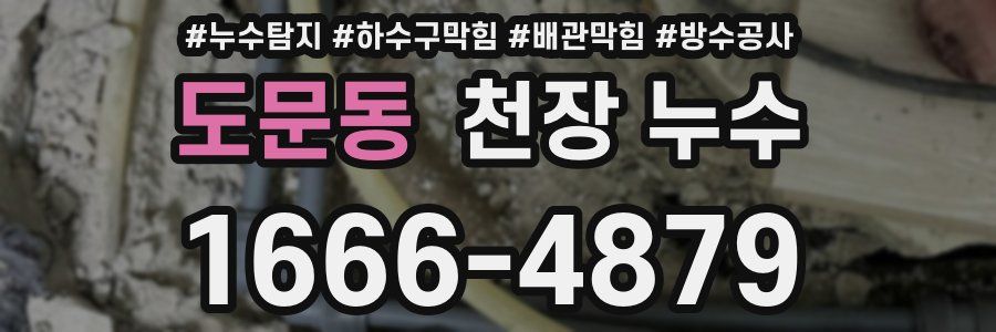 도문동 천장 누수