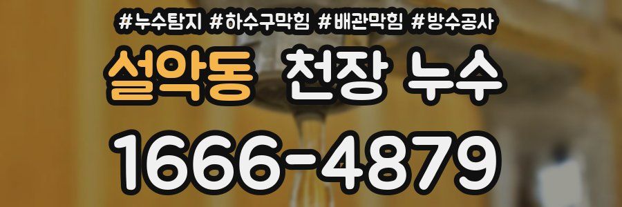 설악동 천장 누수