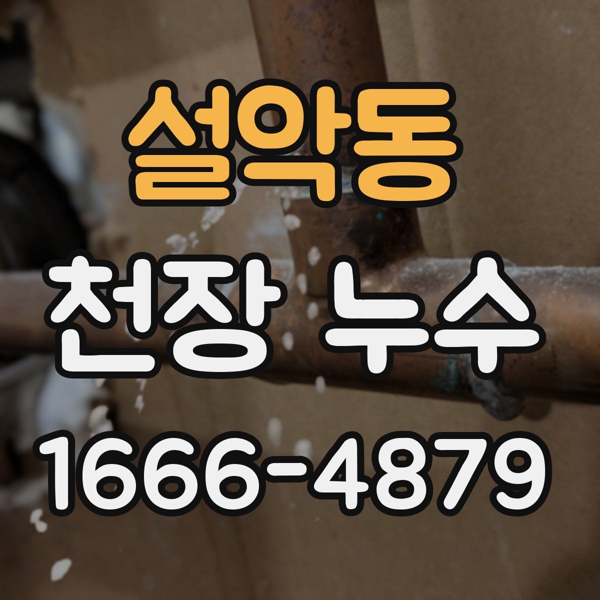 설악동 천장 누수