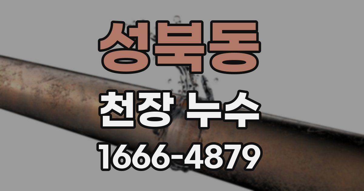 성북동 천장 누수