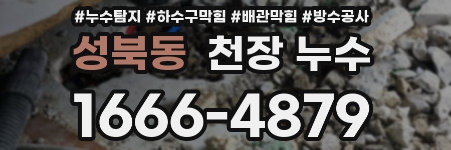 성북동 천장 누수