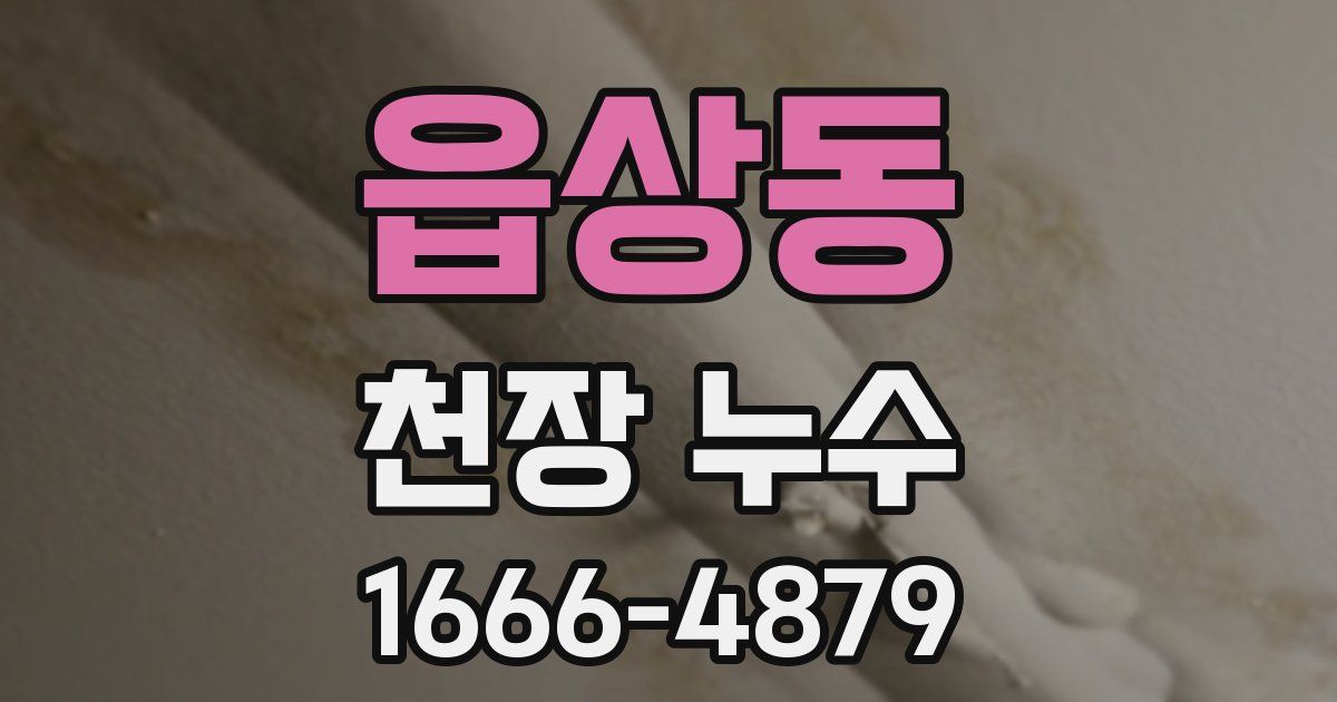 읍상동 천장 누수