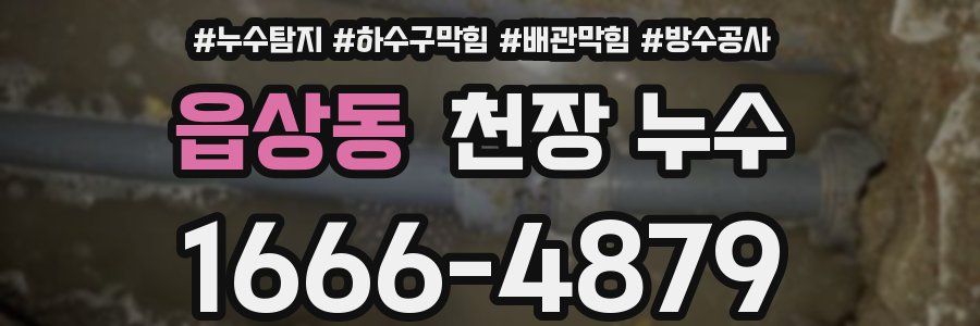 읍상동 천장 누수