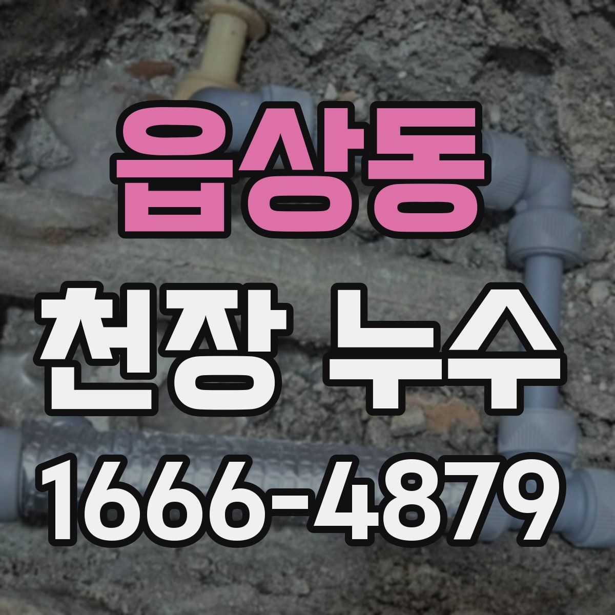 읍상동 천장 누수