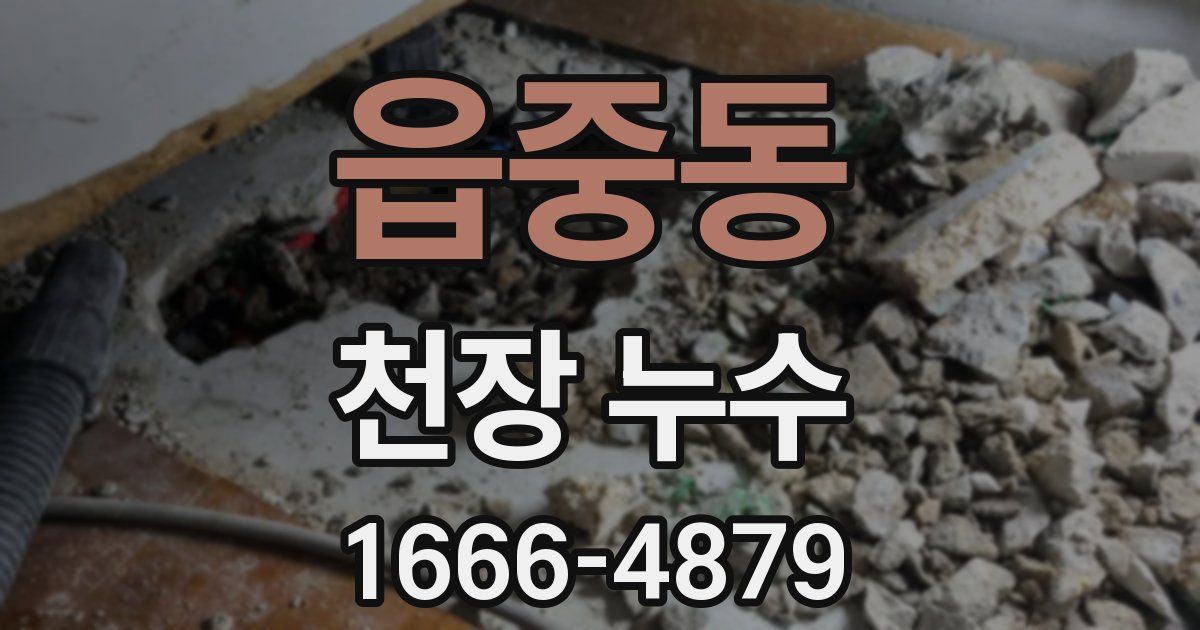 읍중동 천장 누수