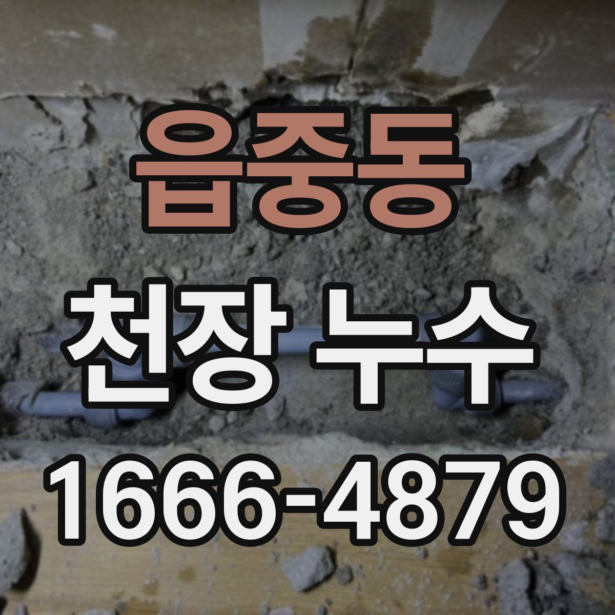 읍중동 천장 누수