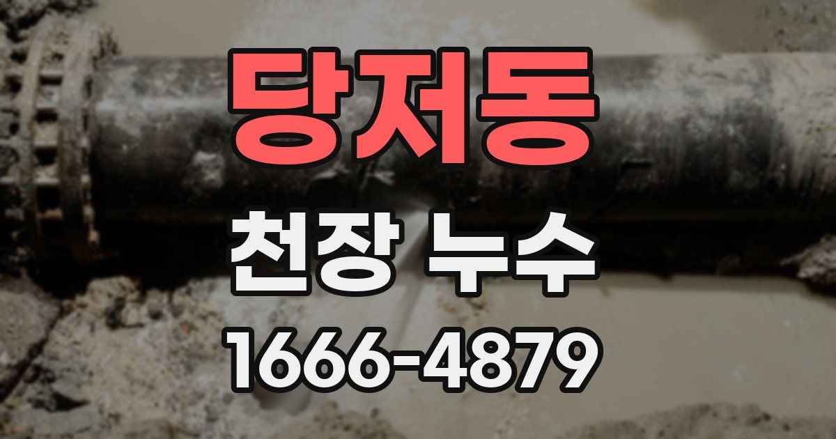 당저동 천장 누수