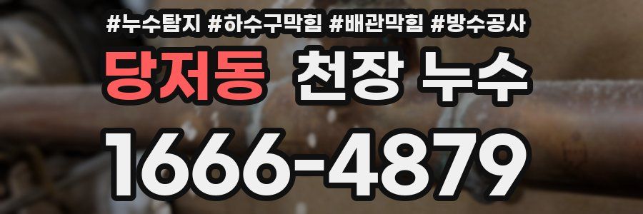 당저동 천장 누수